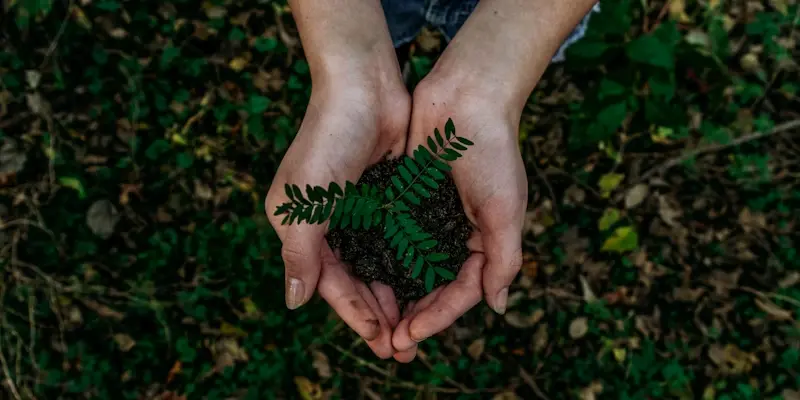 Sustainable Fashion Concept
